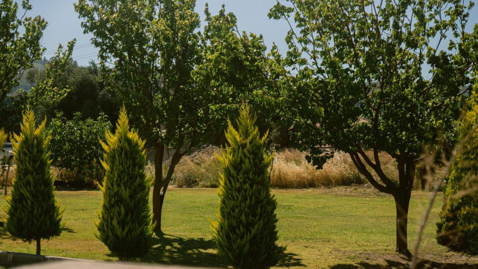 Vela Garden Resort Çeşme Luaran gambar