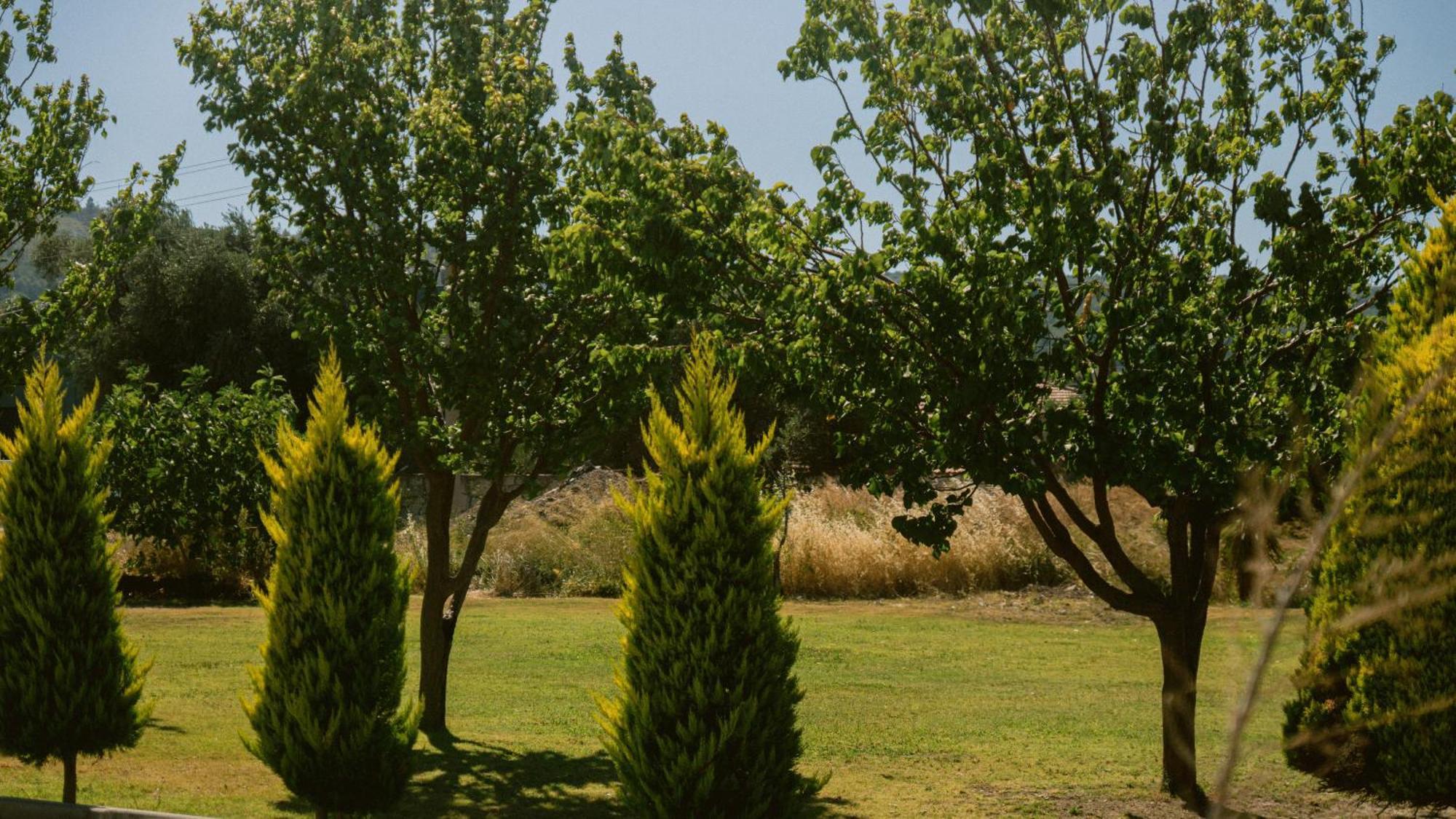 Vela Garden Resort Çeşme Luaran gambar